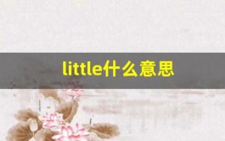 little什么意思,little中文翻译,little用法及例句,little怎么读
