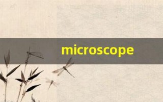 microscope什么意思,microscope中文翻译,microscope用法及例句,microscope怎么读