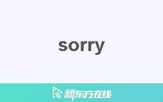 sorry中文翻译,sorry发音,sorry用法及例句,sorry是什么意思