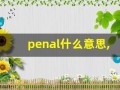 penal什么意思,penal中文翻译,penal用法及例句,penal怎么读