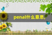 penal什么意思,penal中文翻译,penal用法及例句,penal怎么读