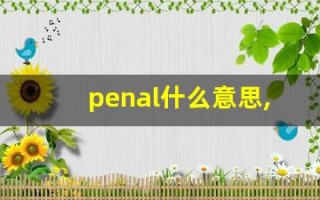 penal什么意思,penal中文翻译,penal用法及例句,penal怎么读