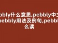 pebbly什么意思,pebbly中文翻译,pebbly用法及例句,pebbly怎么读