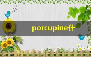 porcupine什么意思,porcupine中文翻译,porcupine用法及例句,porcupine怎么读