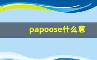 papoose什么意思,papoose中文翻译,papoose用法及例句,papoose怎么读