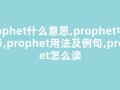 prophet什么意思,prophet中文翻译,prophet用法及例句,prophet怎么读